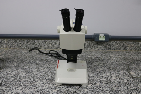 Lupa estereoscópica marca Leica modelo EZ4